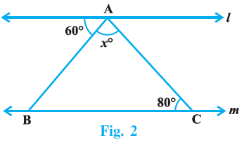 Page 154 Chapter 15 Class 9th NCERT Exemplar